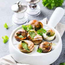 Load image into Gallery viewer, Burgundy Escargots Garlic Butter 12 Pcs
