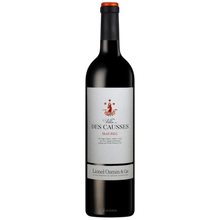Load image into Gallery viewer, Lionel Osmin Villa des Causses Malbec 2021