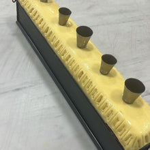 Load image into Gallery viewer, Pâté en croûte with Foie Gras and pistachios
